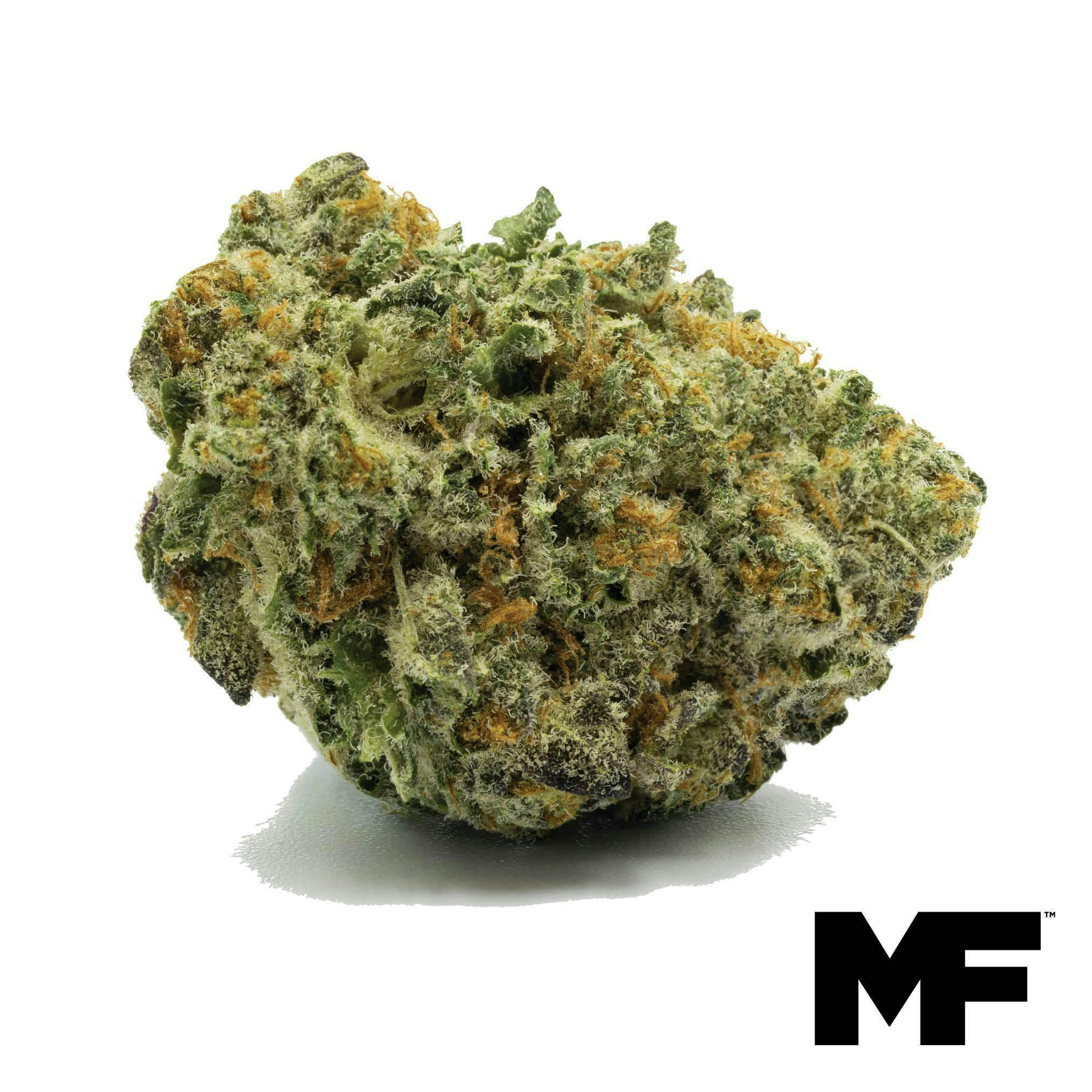 Admiral Apple Flower at Trulieve Medical Marijuana Dispensary Whitehall