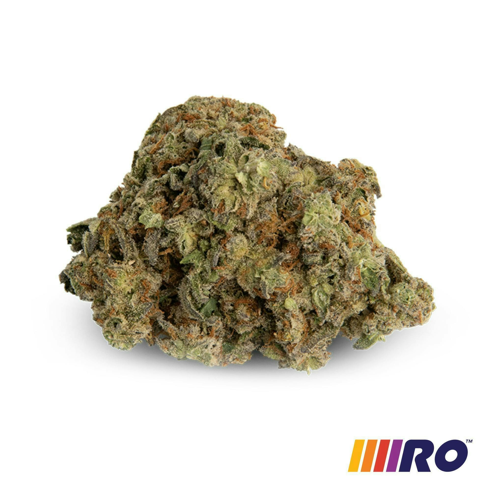 Tropicanna Haze Flower