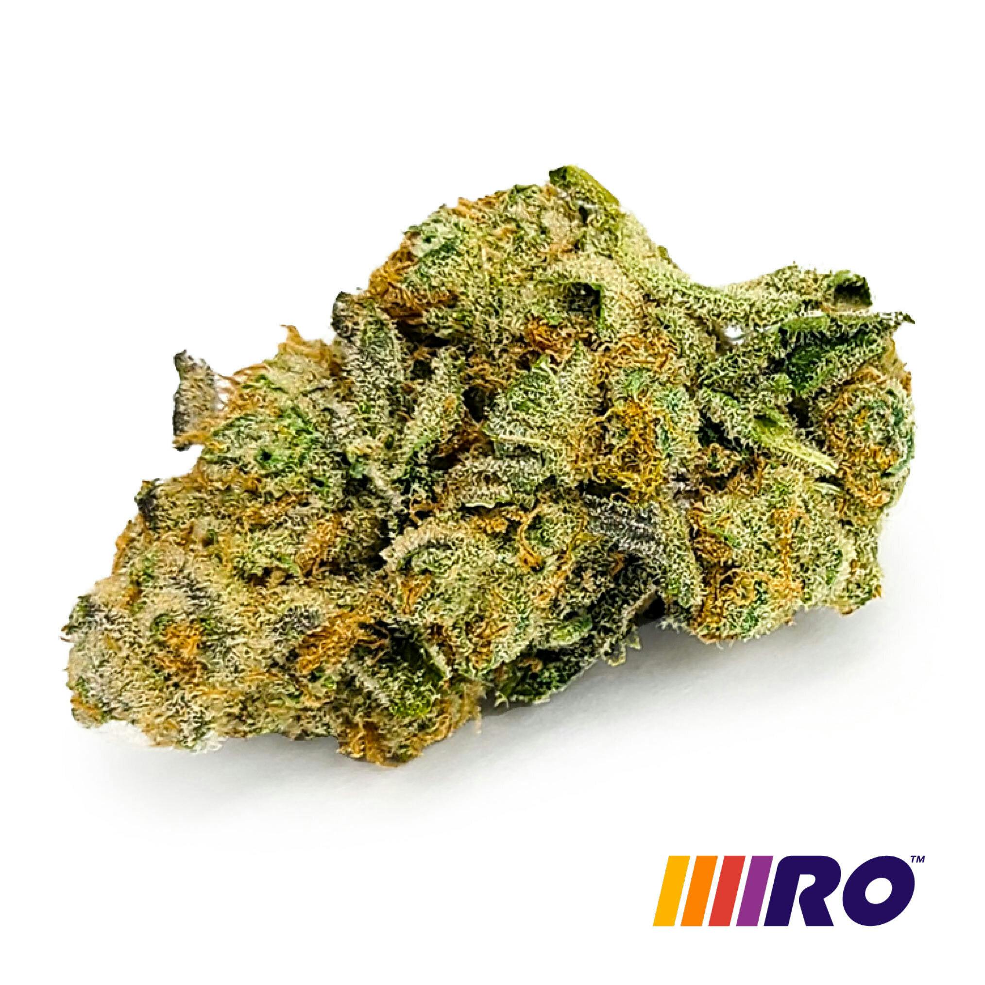 Garlic Grove Flower