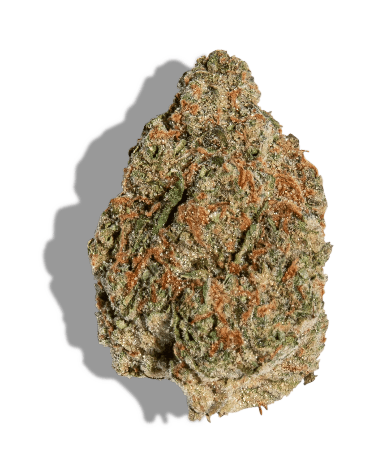 JENNY KUSH 3.5G