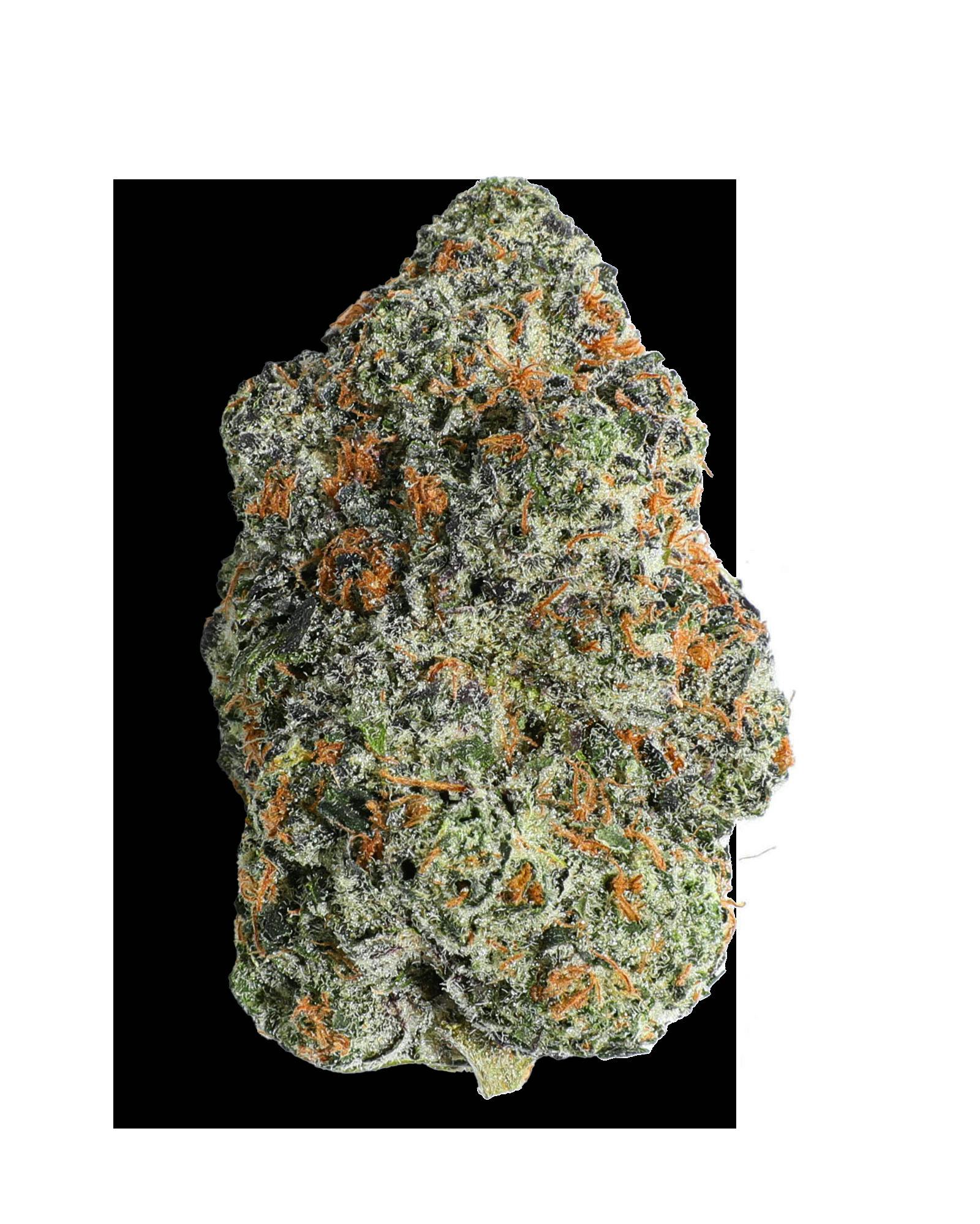 GMO CRASHER 3.5G