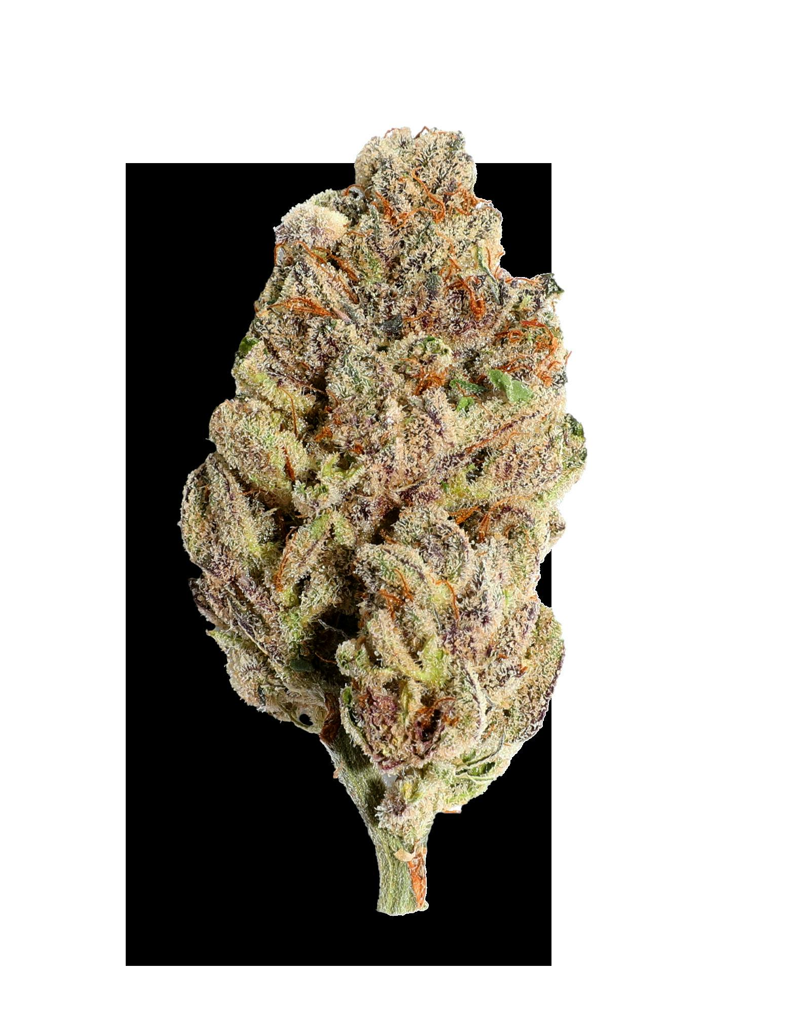 ROLL UPS 3.5G