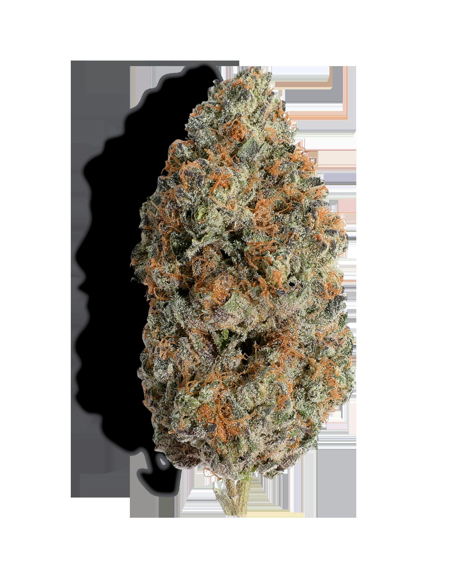 CHILI VERDE 3.5G