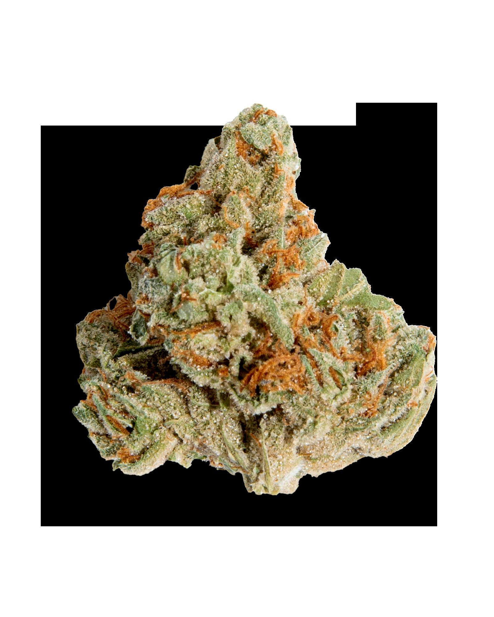 TERP ALERT: DOSIDOS 3.5G