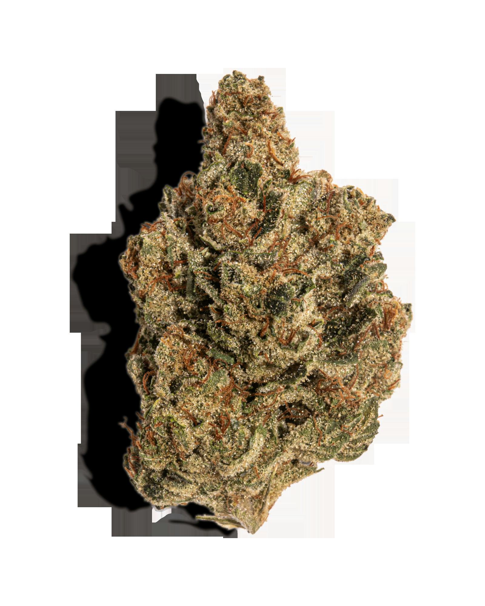 MOTORBREATH 1OZ