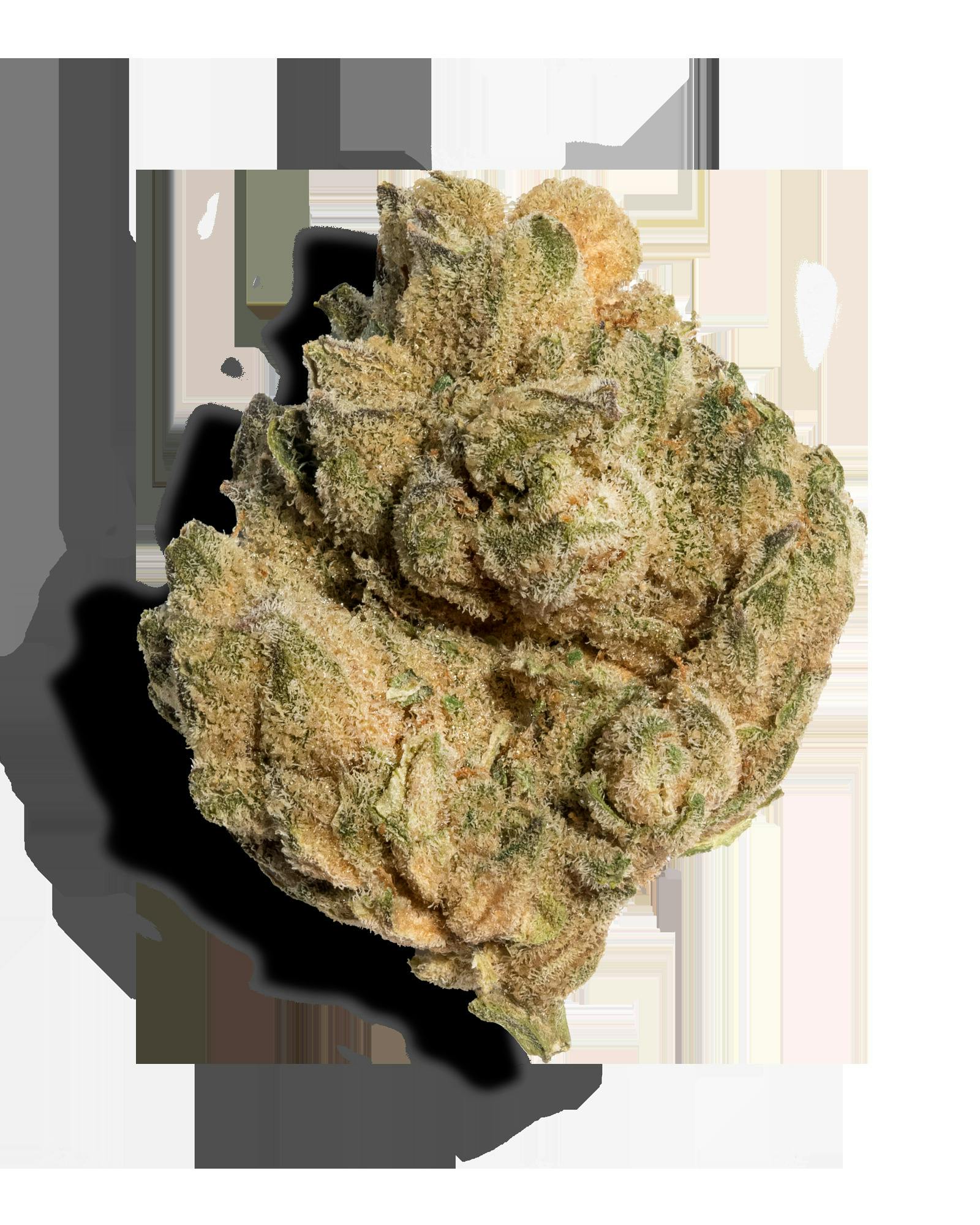 CAKE FRITTER 1OZ
