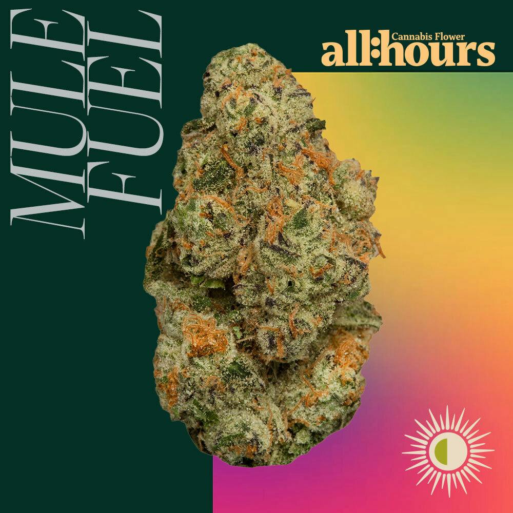 all:hours Mule Fuel 3.5g Flower