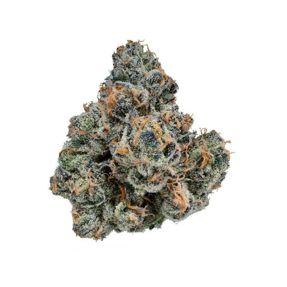 GDF: Flower | Gastropop #05
