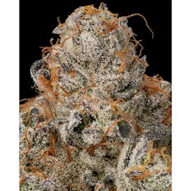 Secret Cookies - Firefly Organics