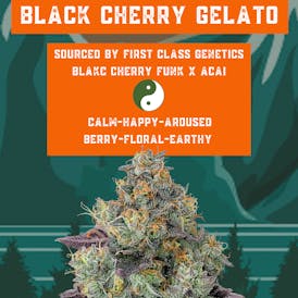 Black Cherry Gelato - Rugged Roots
