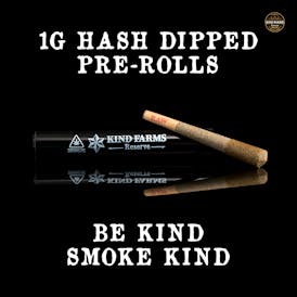 Blue Fritter Hash Dipped Preroll - KFR