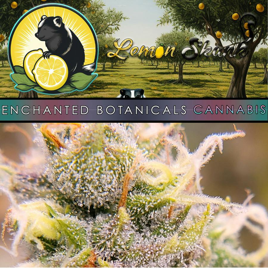 Flower Lemon Skunk (S) Live Weigh cannabis product