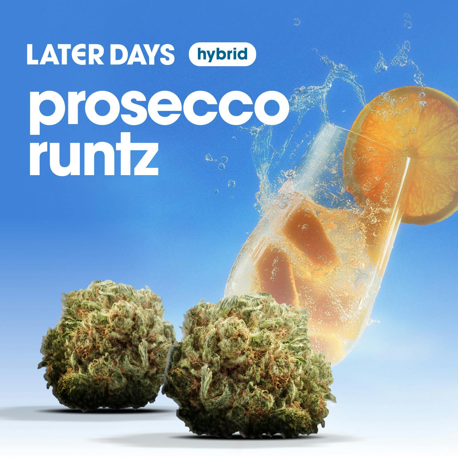 Prosecco Runtz Flower at AYR Cannabis Dispensary Sebring