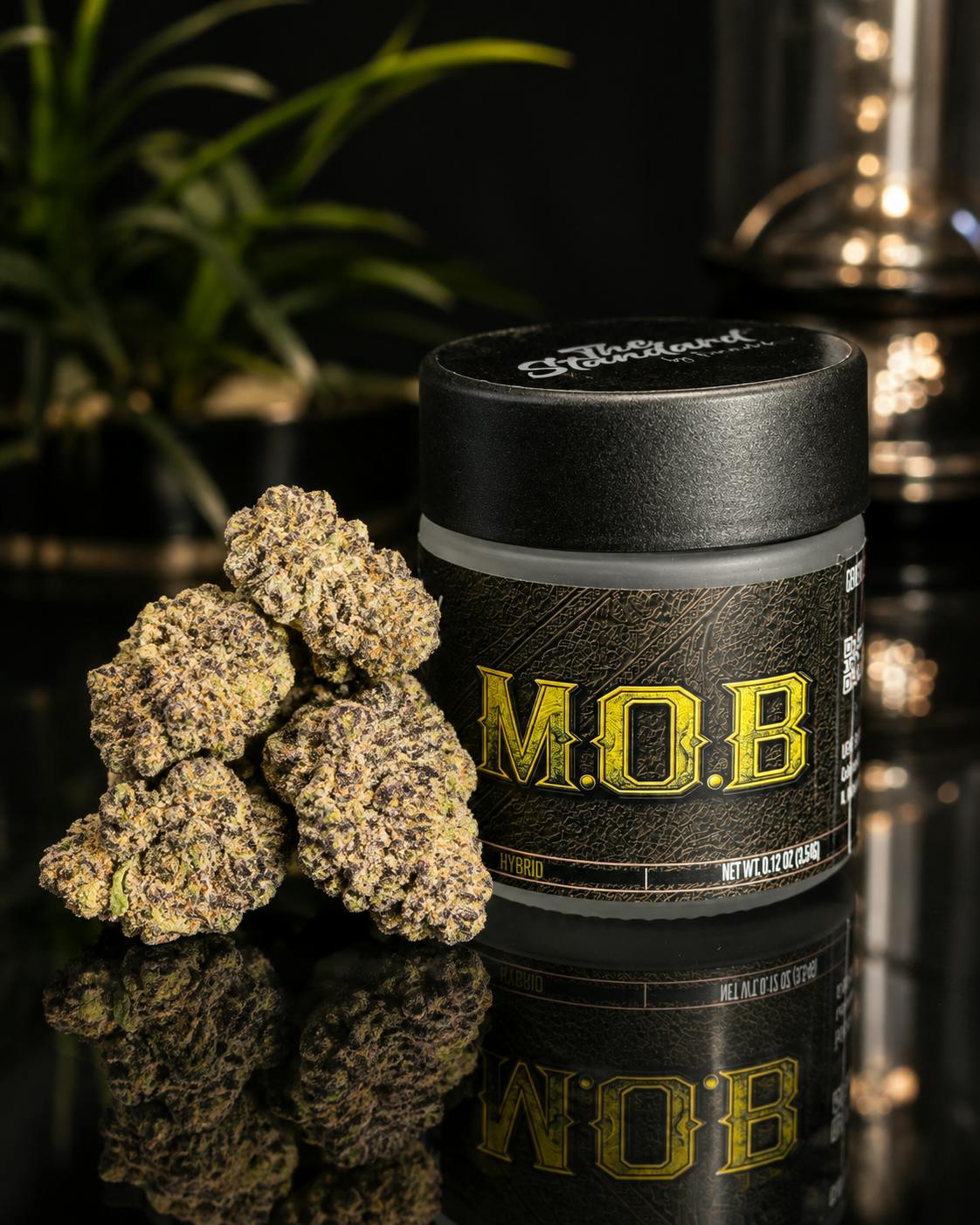 THE STANDARD: M.o.b