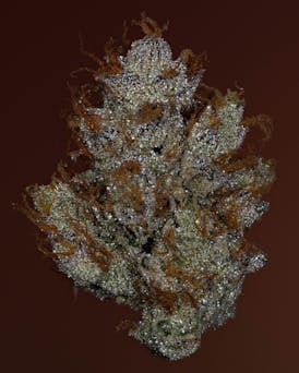 Thicc Cannabis Co. - Pre-Packed (GMO) 3.5g
