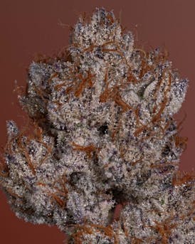Thicc Cannabis Co. - Pre-Packed (Strawberry Breath) 3.5g