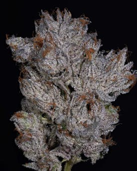 Thicc Cannabis Co. - Pre-Packed Smalls (Death Rattle) 14g