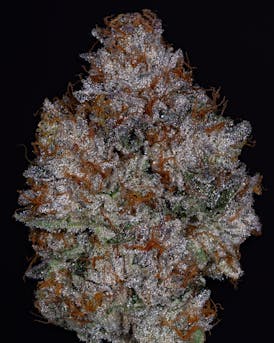 Thicc Cannabis Co. - Pre-Packed (Gary Payton) 3.5g