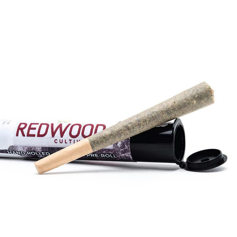Redwood - Banana Pie Preroll (1G)