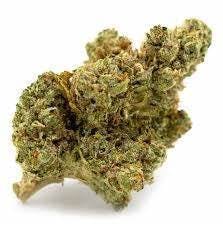 Mojo: Secret Stash - Lemon Cherry Gelato (14G)