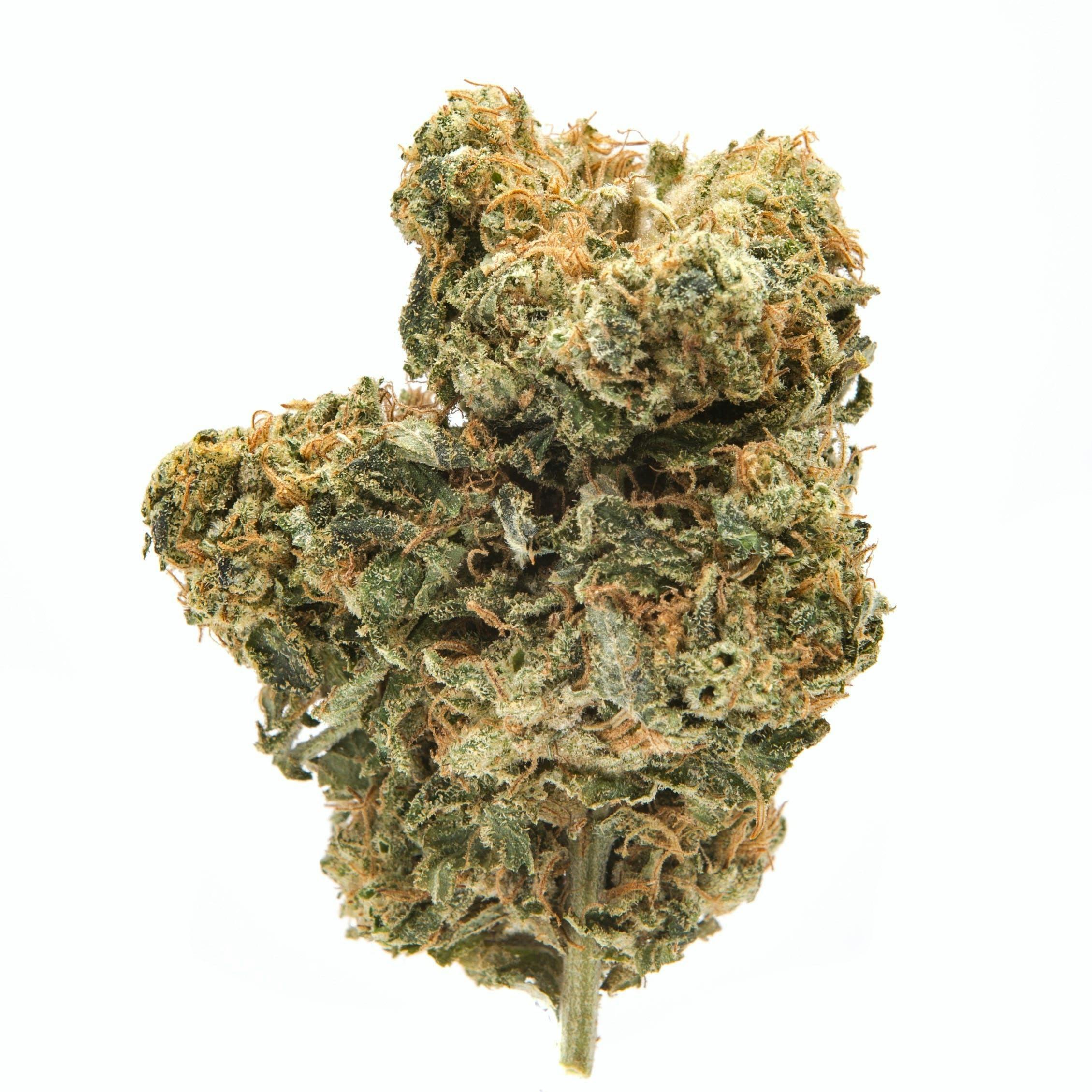 Remedy - Chem D (1G)