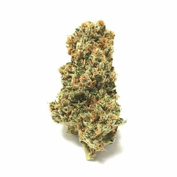 Medizin - White Truffle