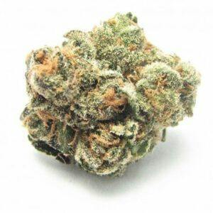 Mojo: Secret Stash - Poochie's Papaya (14G)