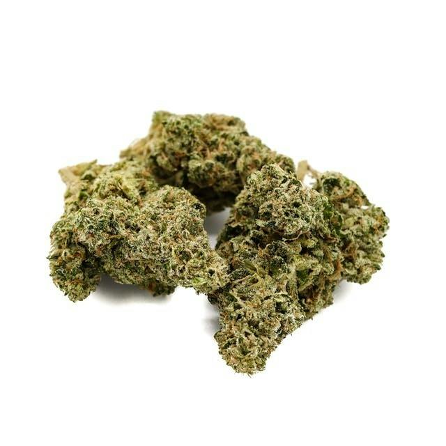 Rythm: Secret Stash - Animal Face (14G)