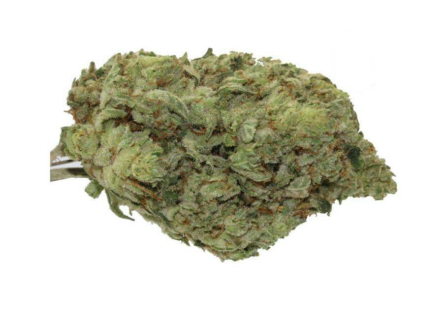 Mojo: Secret Stash - Lemon Apricot (14G)