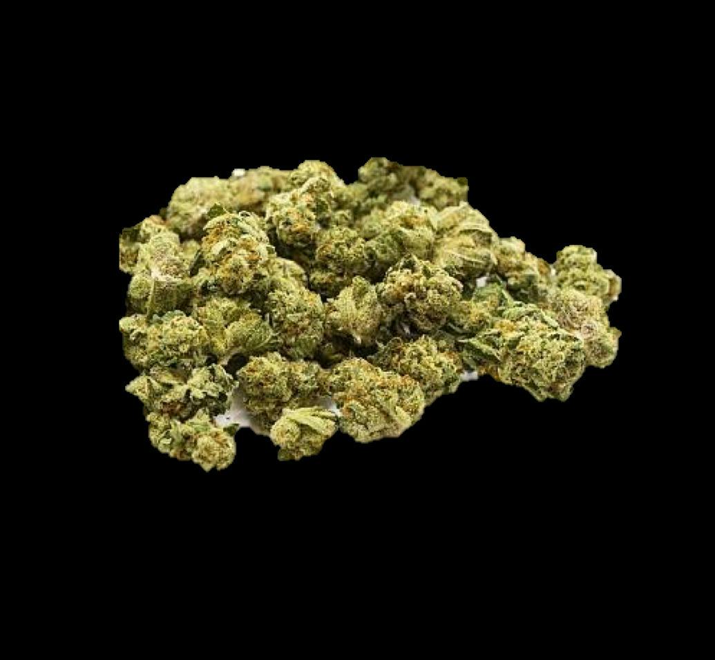 Summa: Essentials - Mule Fuel (14G)