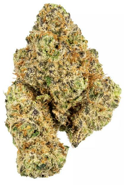 Hustlers Ambition: Secret Stash - Double Dream (14G)