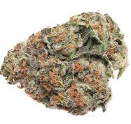 Hustlers Ambition: Secret Stash - Papaya Master (14G)