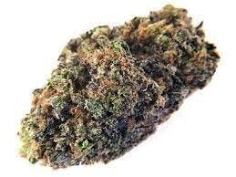 State Flower - 24k Mimosa