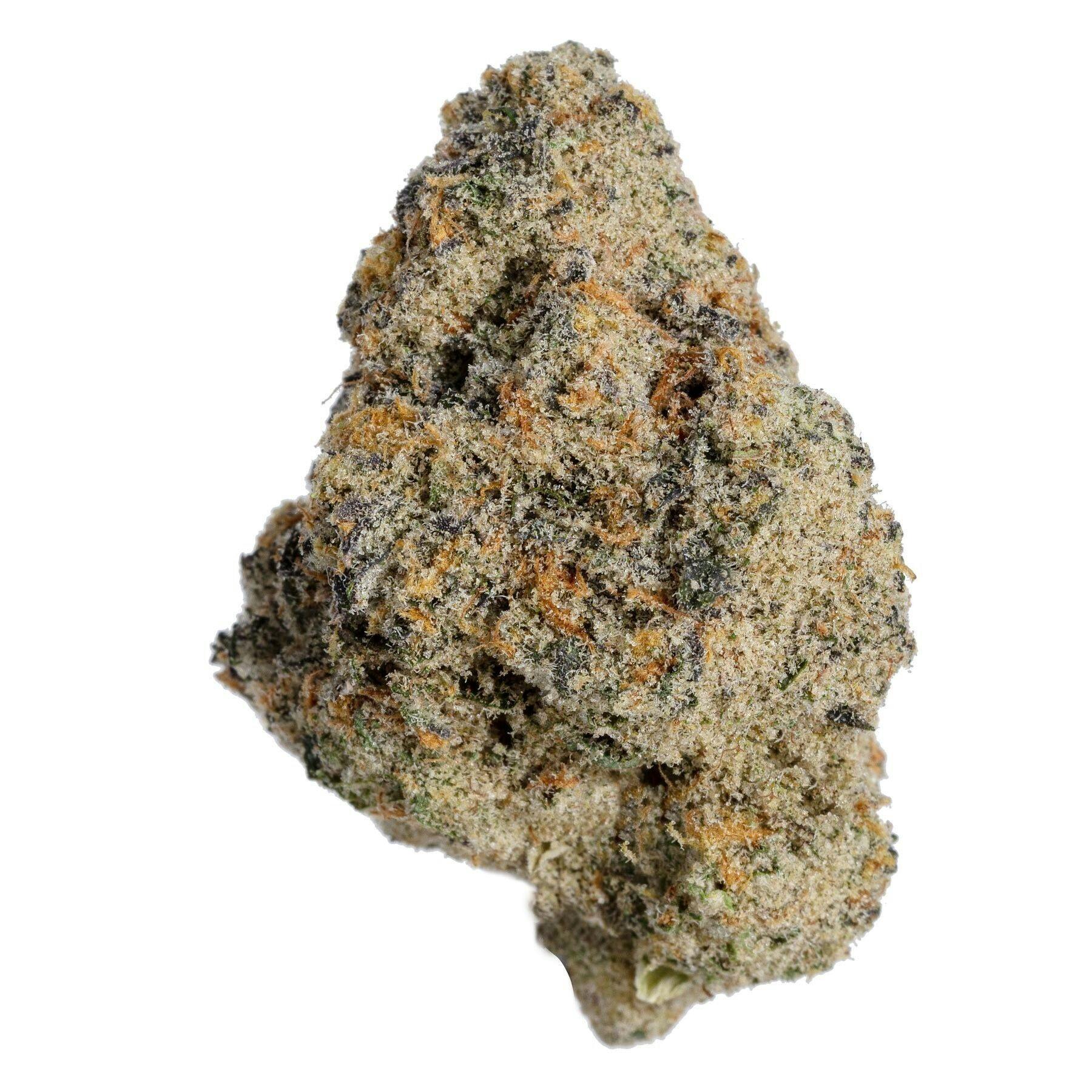 Jasper: Essentials - Courtside Cooler (14G)