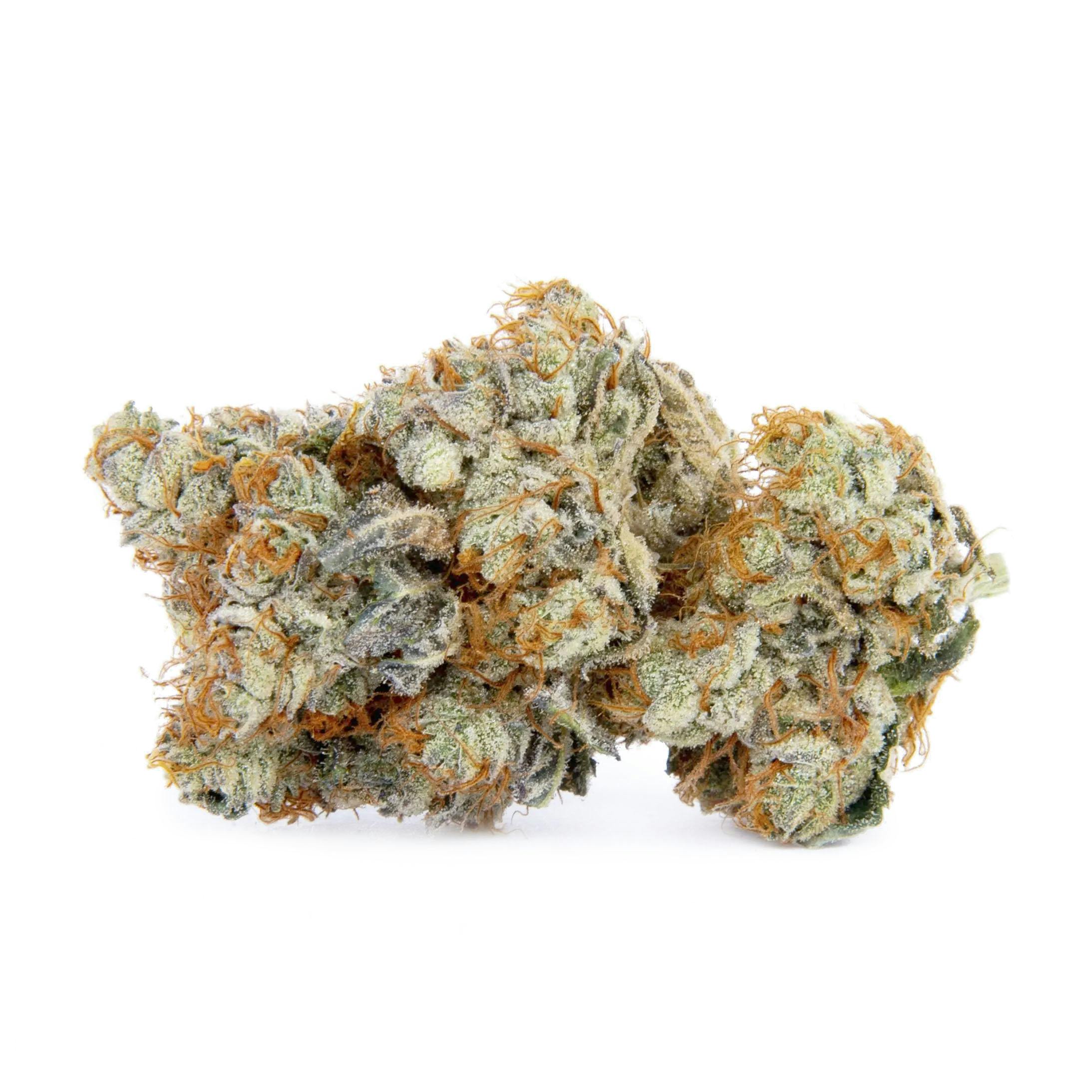 Essentials - Spritzer (28G)