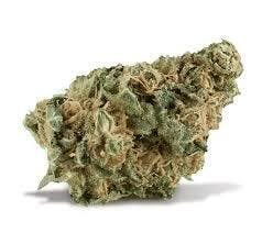 Stiiizy - Sunset Sherbert