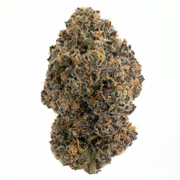 Jasper: Essentials - Z Runtz (14G)