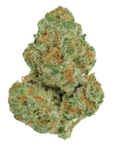GLP - GG4 On Fire