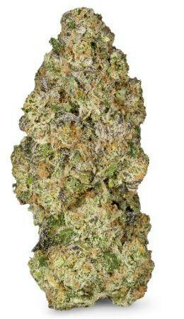 Backpack Boyz - White Guava Gelato