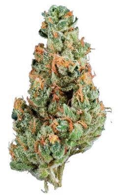 Natures Chemistry Garlic Cookies