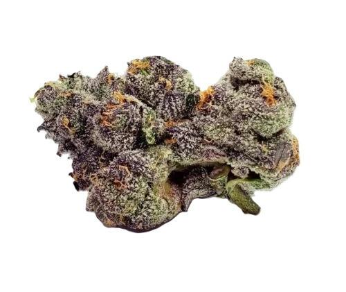 Backpack Boyz - White Cherry Gelato