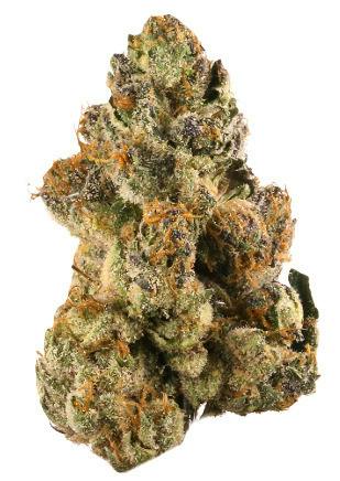 Mojo: Secret Stash - Gelato (14G)