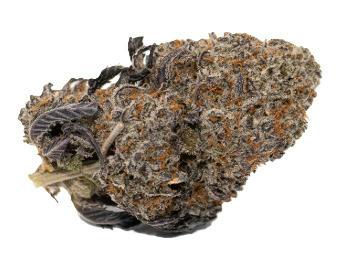 Grower Circle - Oreo Cake