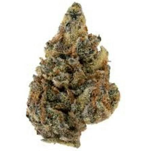 Remedy - Futura Haze (1G)