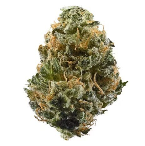 Essentials - Double Baked Cake (28G)