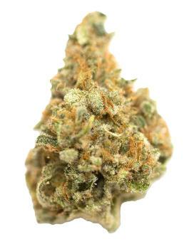 GLP - Grape Pie