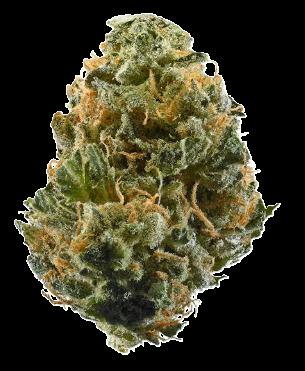Stiiizy - Lemon Cherry Haze