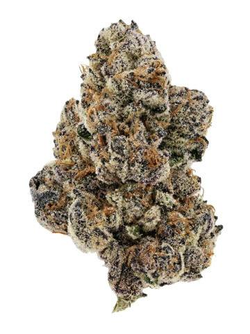 Hustlers Ambition: Secret Stash - Rainbow Sherbet (14G)