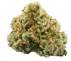 Jasper: Secret Stash - Kream Pie (14G)