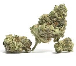 Mojo: Essentials - Moroccan Peaches Popcorn (14G)